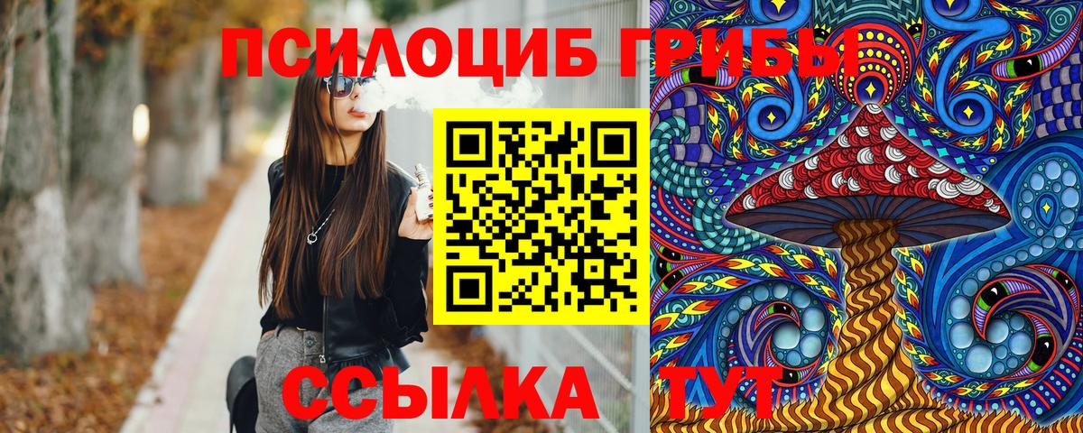 как найти закладки  Вход с VPN  Вязьма  Галлюциногенные грибы Psilocybine cubensis 